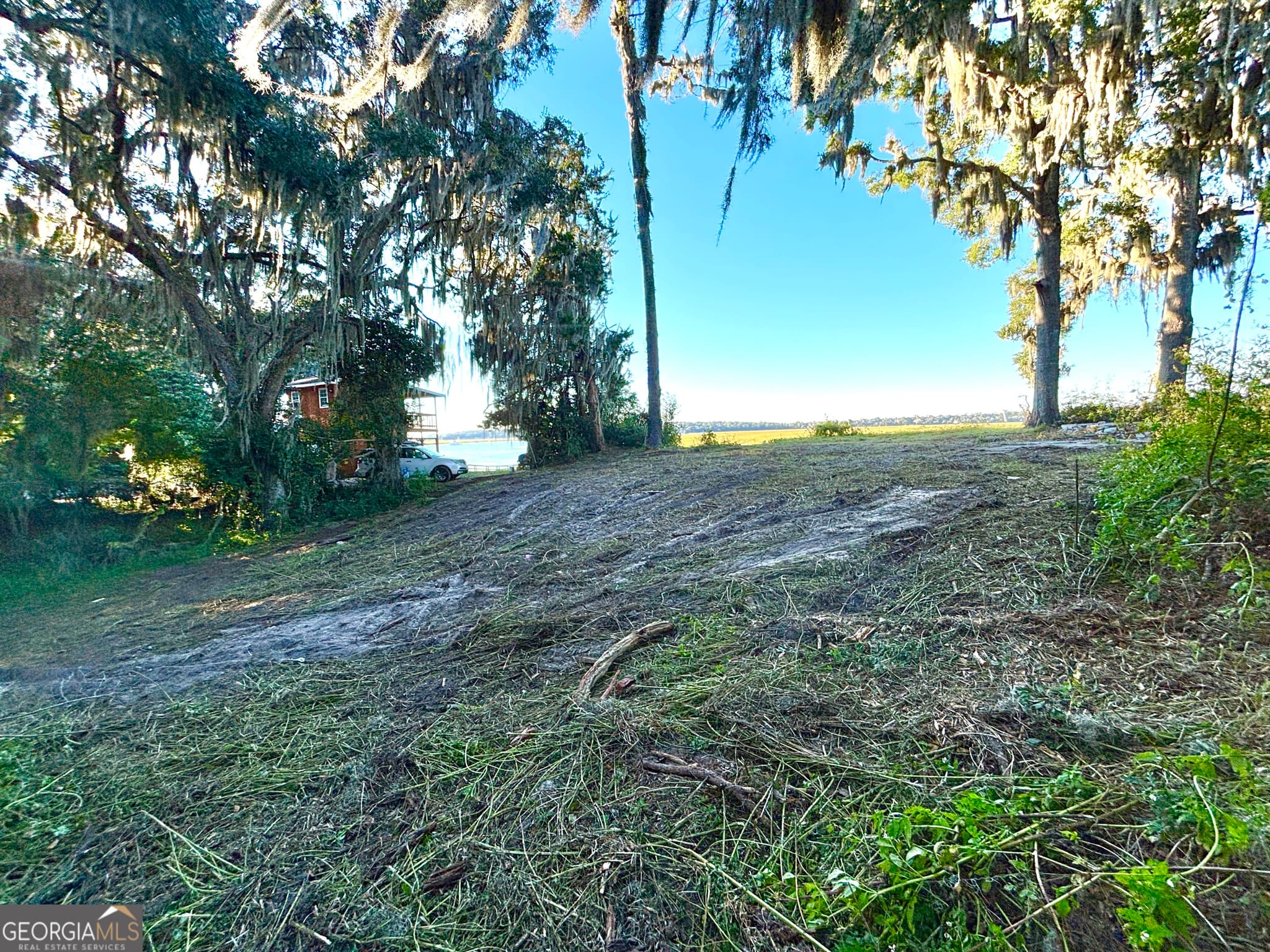 residential lot for sale at 1334 Azalea Road, Townsend, GA 31331 — photo 6