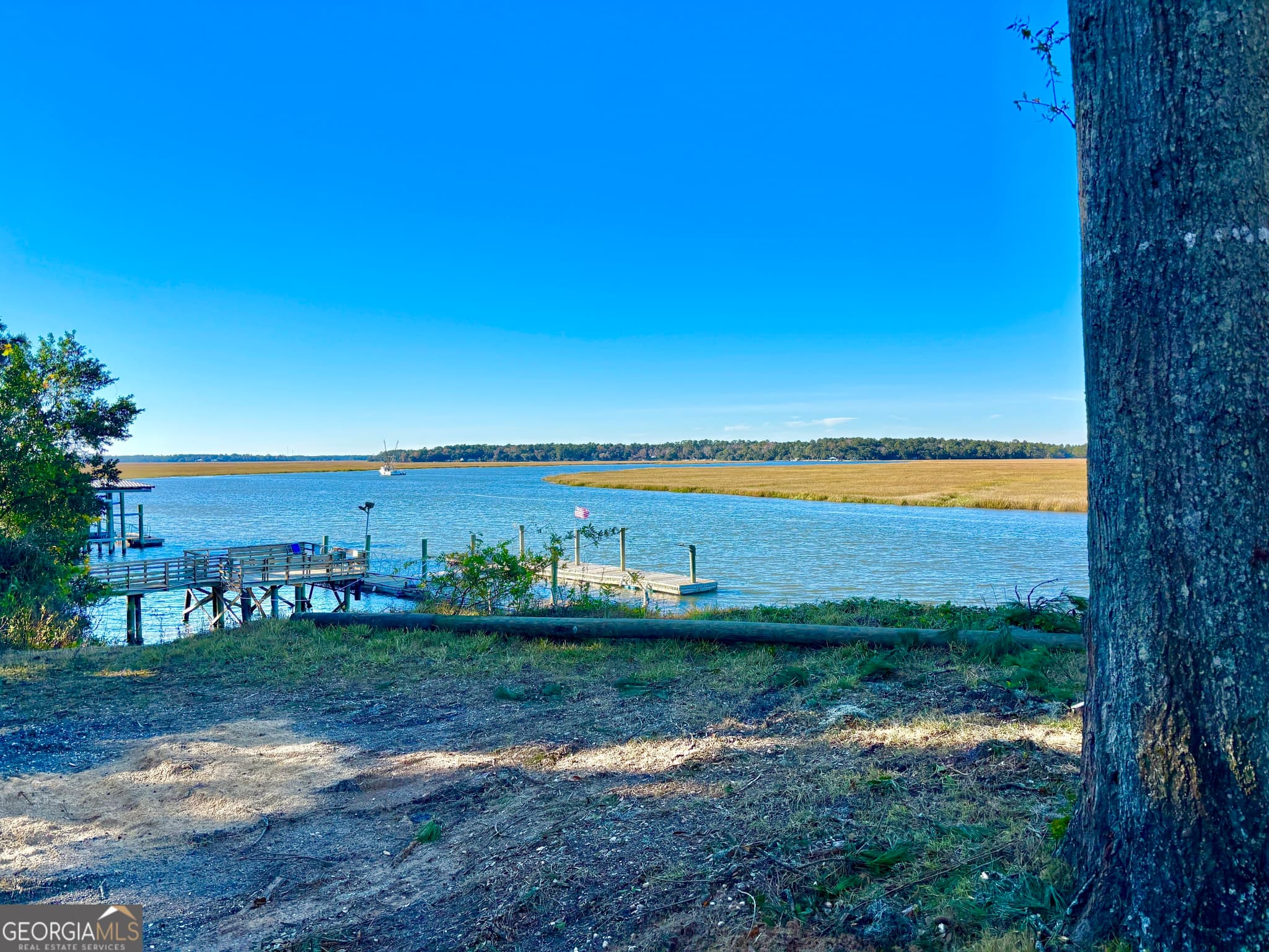 residential lot for sale at 1334 Azalea Road, Townsend, GA 31331 — photo 3