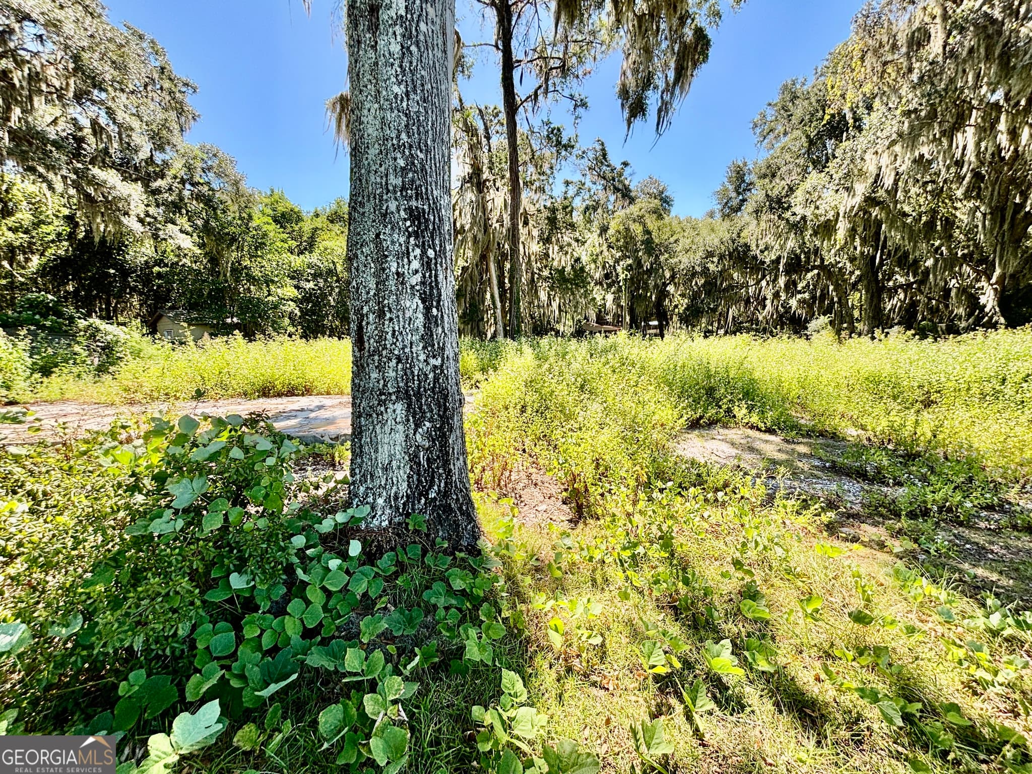 residential lot for sale at 1334 Azalea Road, Townsend, GA 31331 — photo 9