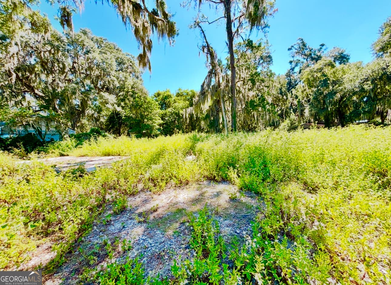 residential lot for sale at 1334 Azalea Road, Townsend, GA 31331 — photo 10