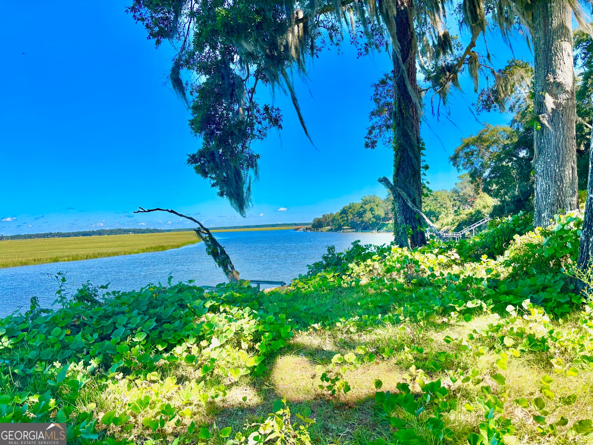 residential lot for sale at 1334 Azalea Road, Townsend, GA 31331 — photo 8