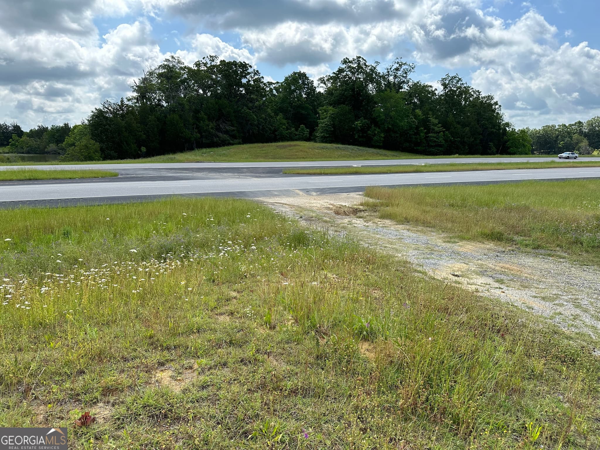 agriculture for sale at 008 CR-14, Ramer, AL 36069 — photo 6