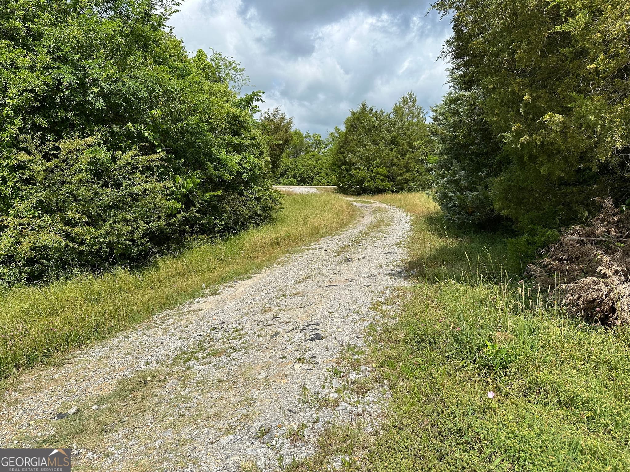 agriculture for sale at 008 CR-14, Ramer, AL 36069 — photo 9