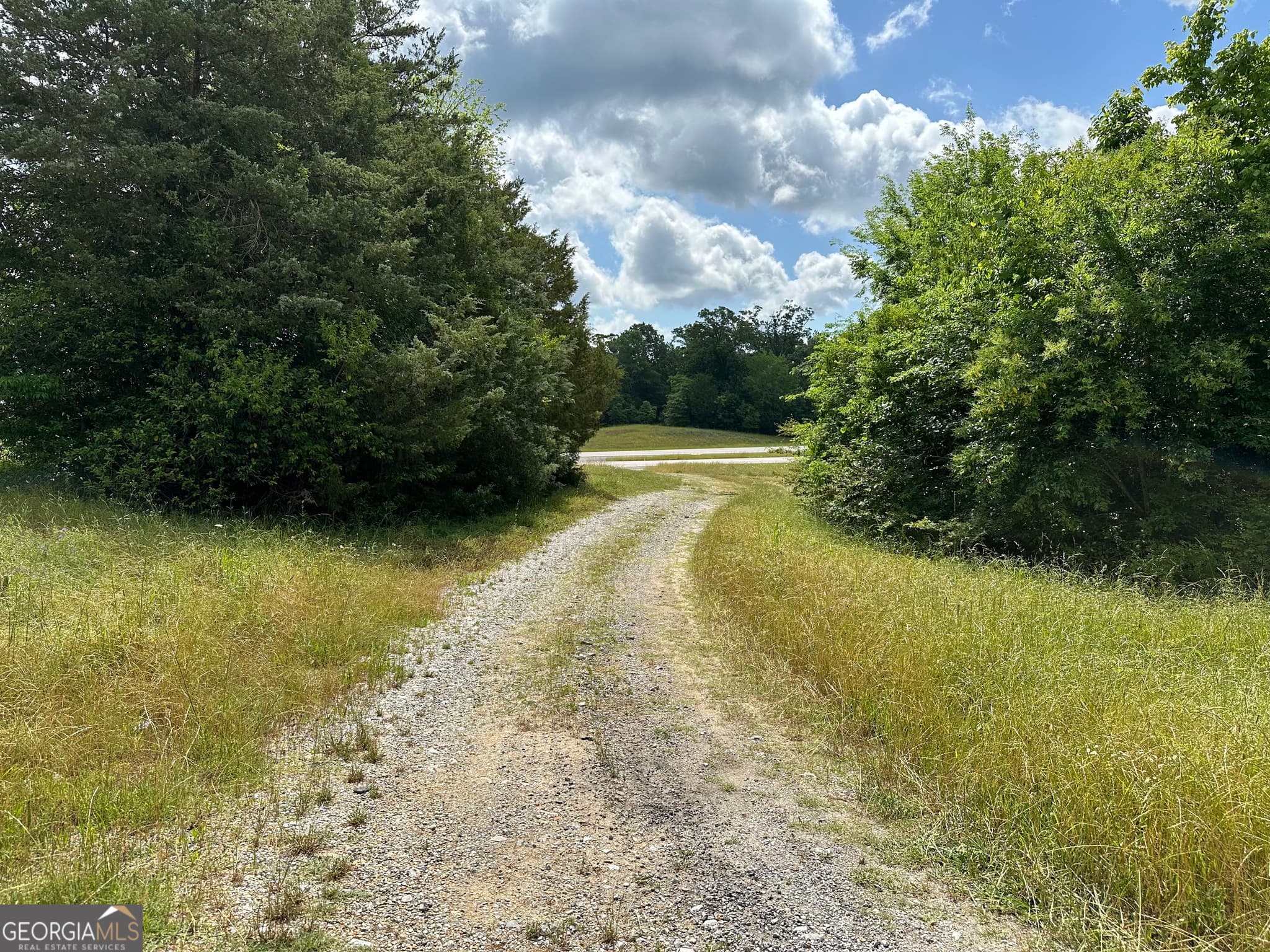 agriculture for sale at 008 CR-14, Ramer, AL 36069 — photo 10