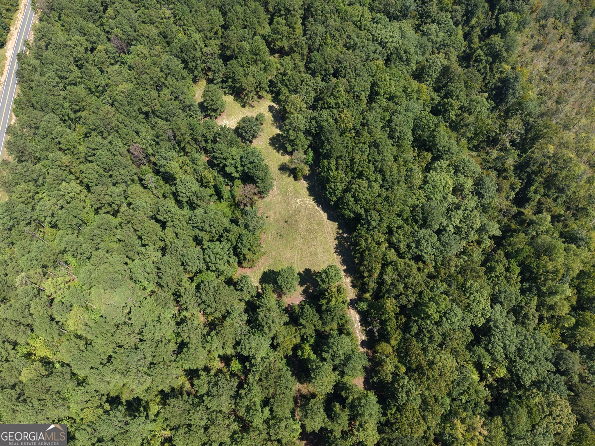 unimproved land for sale at 0 Highway 102, Warthen, GA 31094 — photo 2