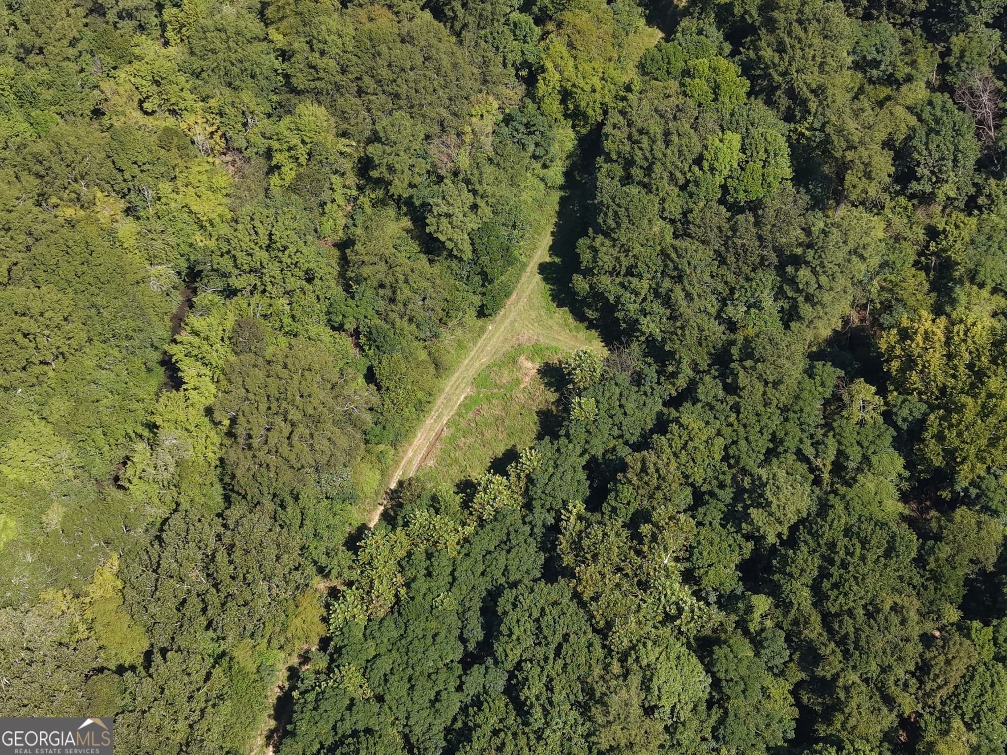 unimproved land for sale at 0 Highway 102, Warthen, GA 31094 — photo 6