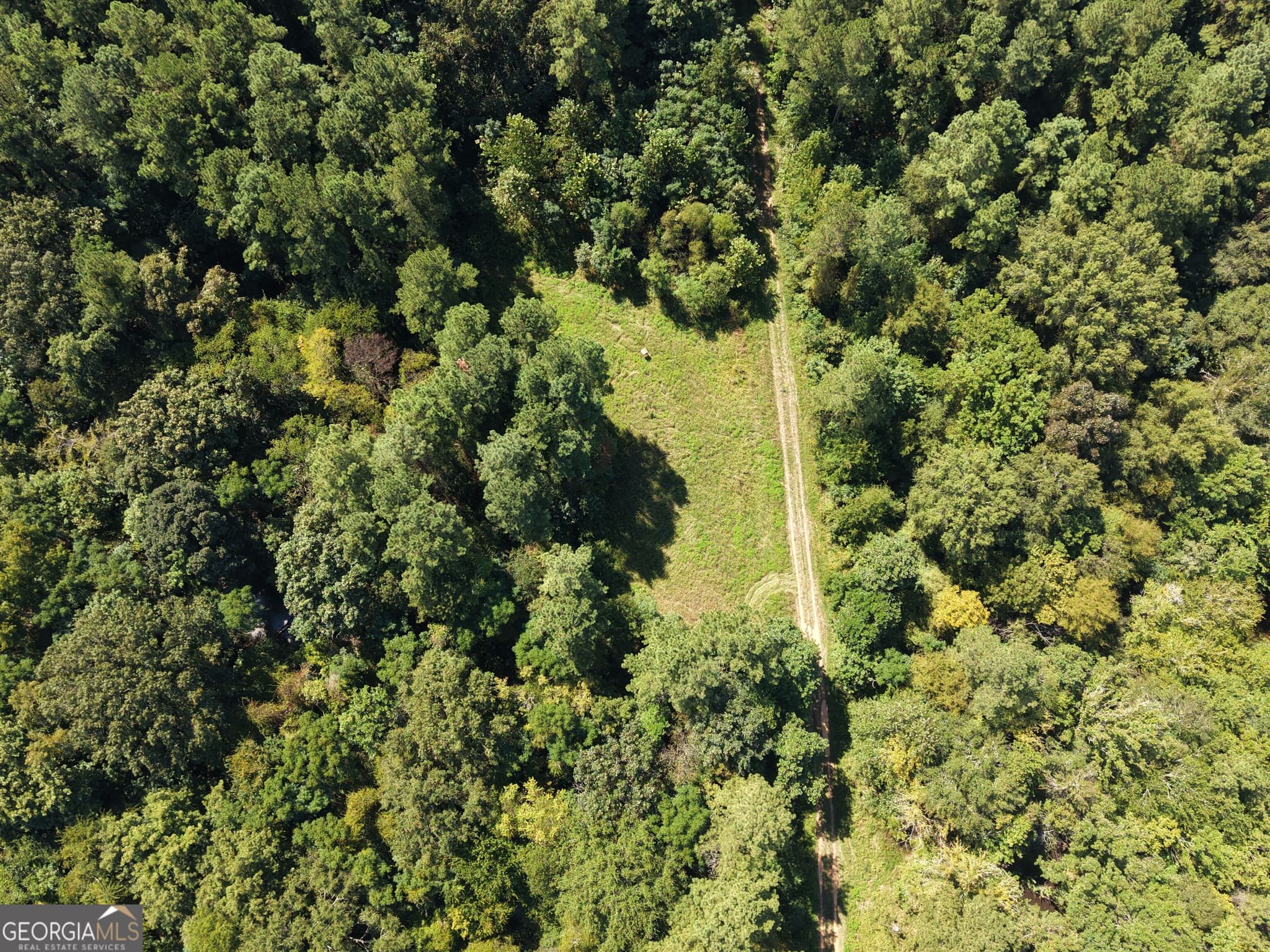 unimproved land for sale at 0 Highway 102, Warthen, GA 31094 — photo 7