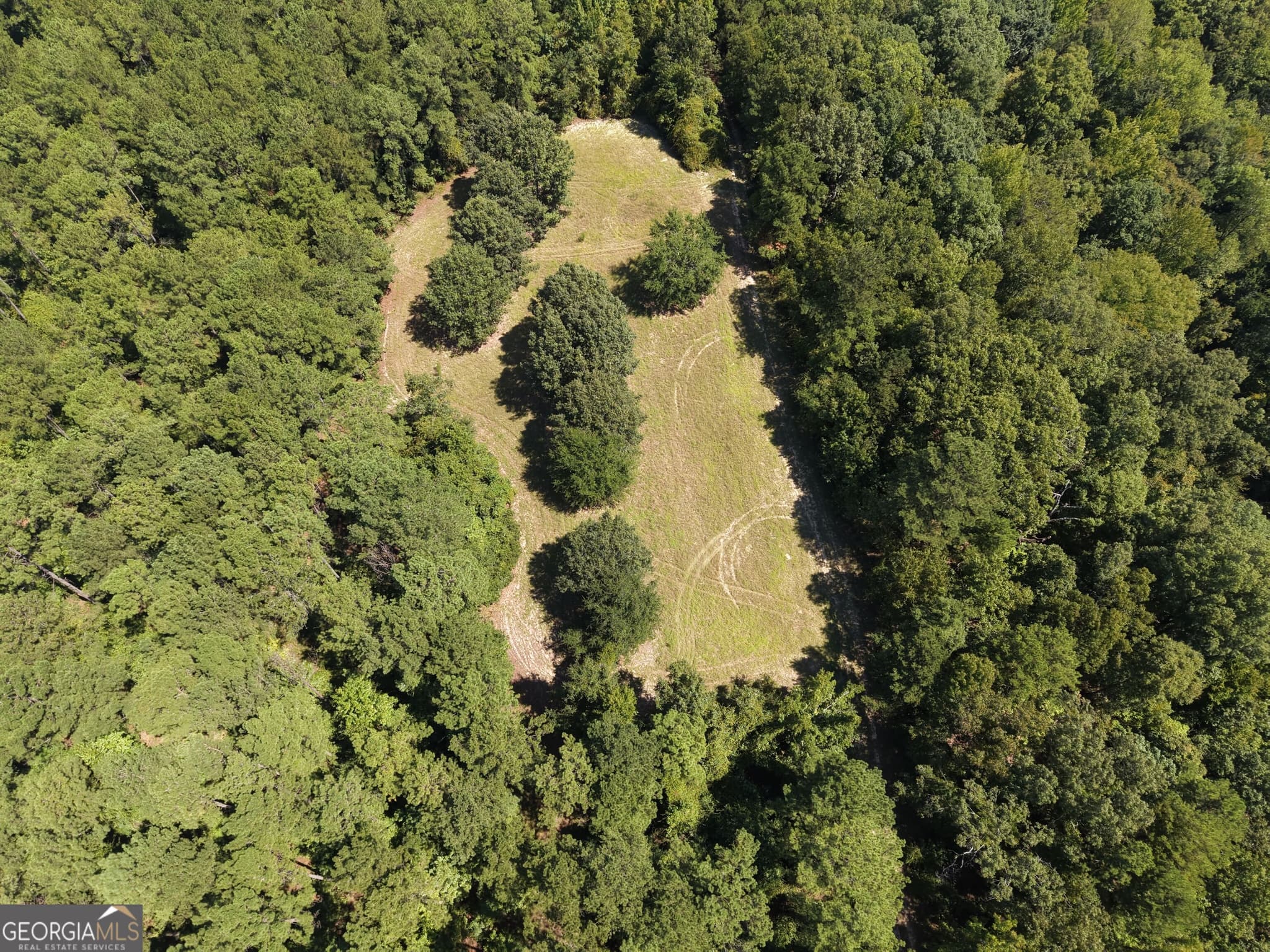 unimproved land for sale at 0 Highway 102, Warthen, GA 31094