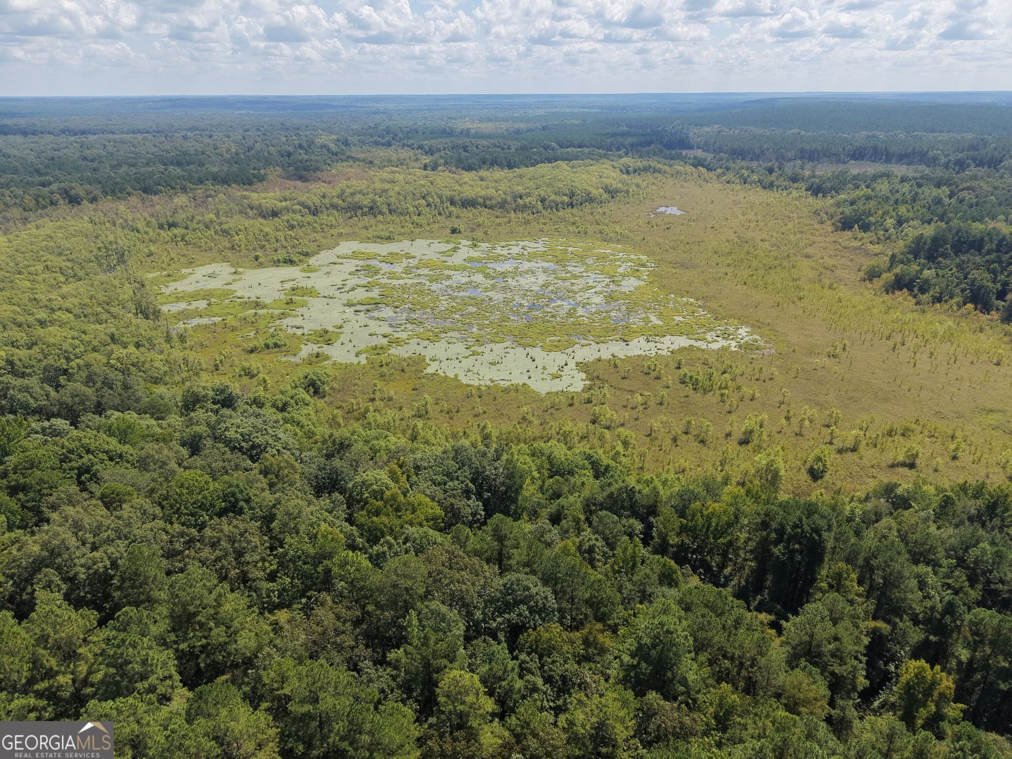 unimproved land for sale at 0 Highway 102, Warthen, GA 31094 — photo 5
