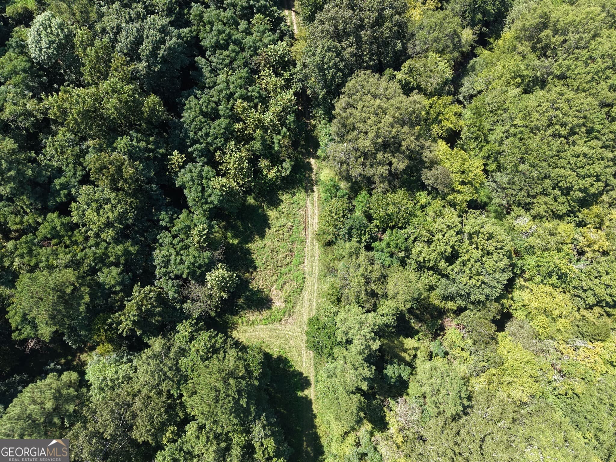 unimproved land for sale at 0 Highway 102, Warthen, GA 31094 — photo 9