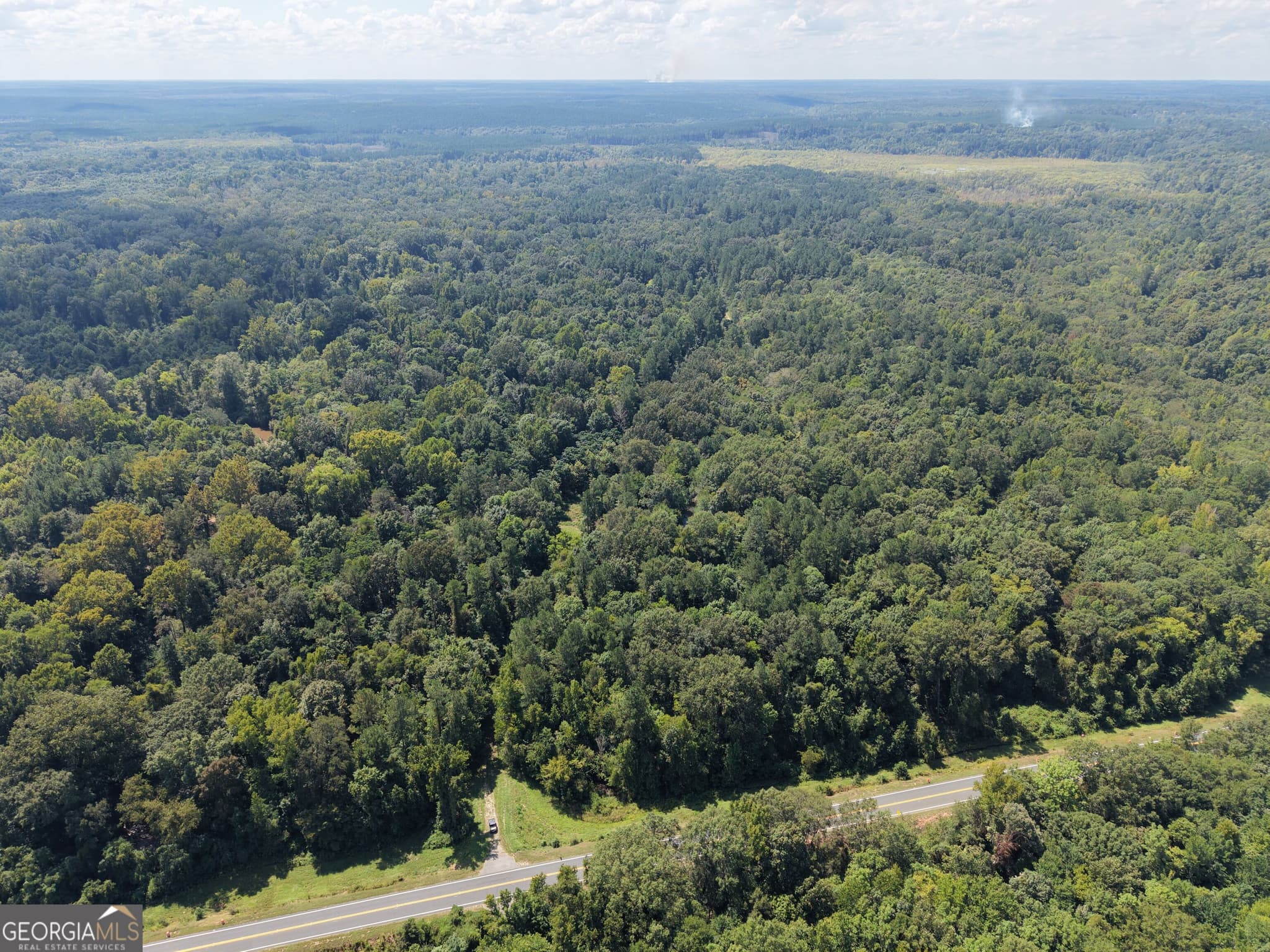 unimproved land for sale at 0 Highway 102, Warthen, GA 31094 — photo 10