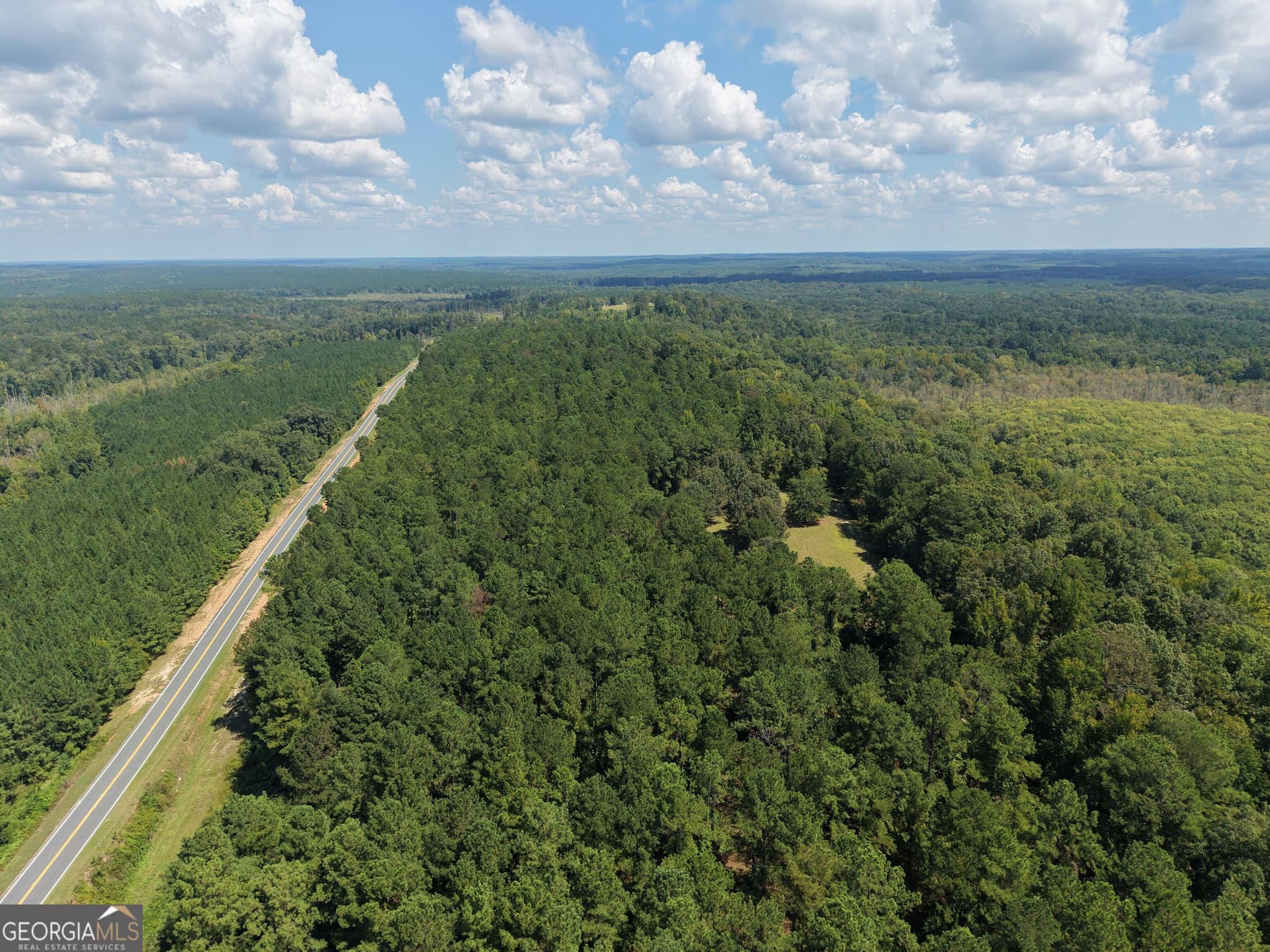 unimproved land for sale at 0 Highway 102, Warthen, GA 31094 — photo 4
