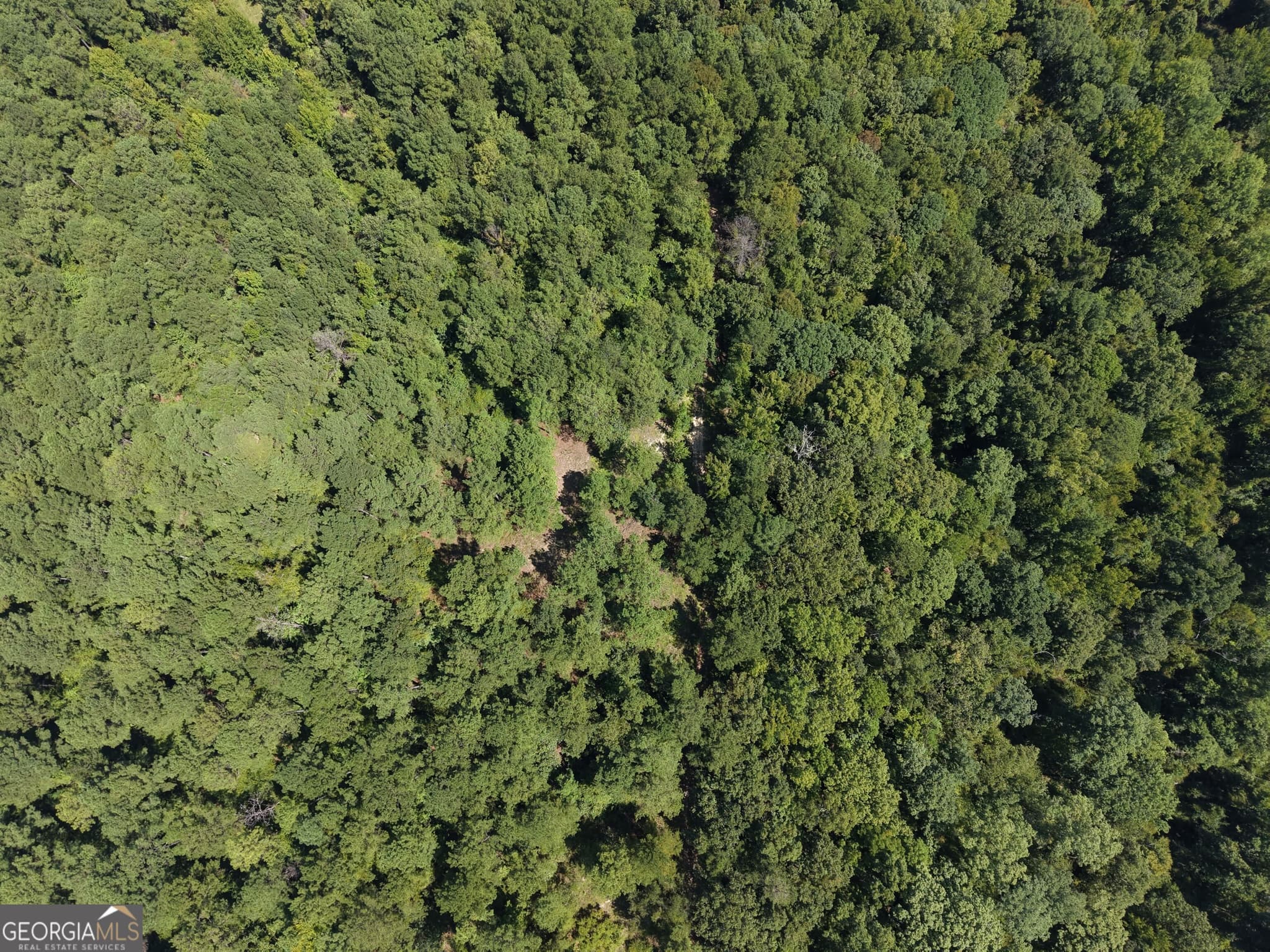 unimproved land for sale at 0 Highway 102, Warthen, GA 31094 — photo 8