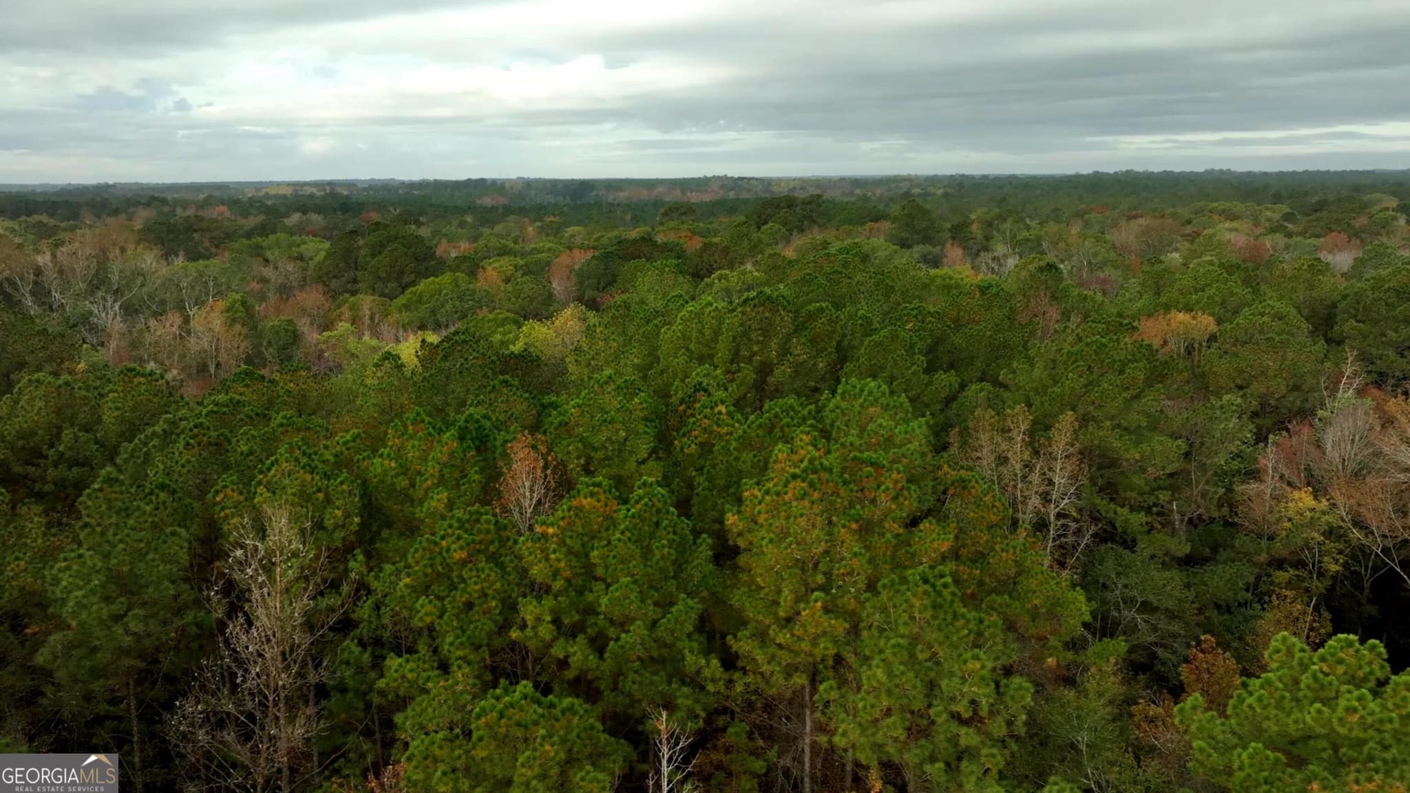 residential lot for sale at 0 Twin Forks Rd/Martin Road TRACT 2, Statesboro, GA 30458 — photo 2