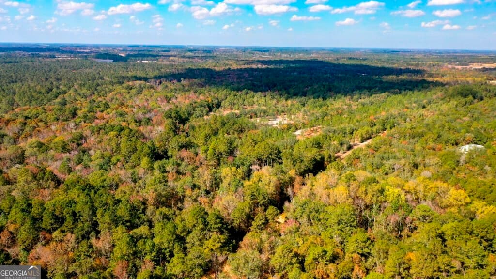residential lot for sale at 0 Twin Forks Rd/Martin Road TRACT 2, Statesboro, GA 30458 — photo 6