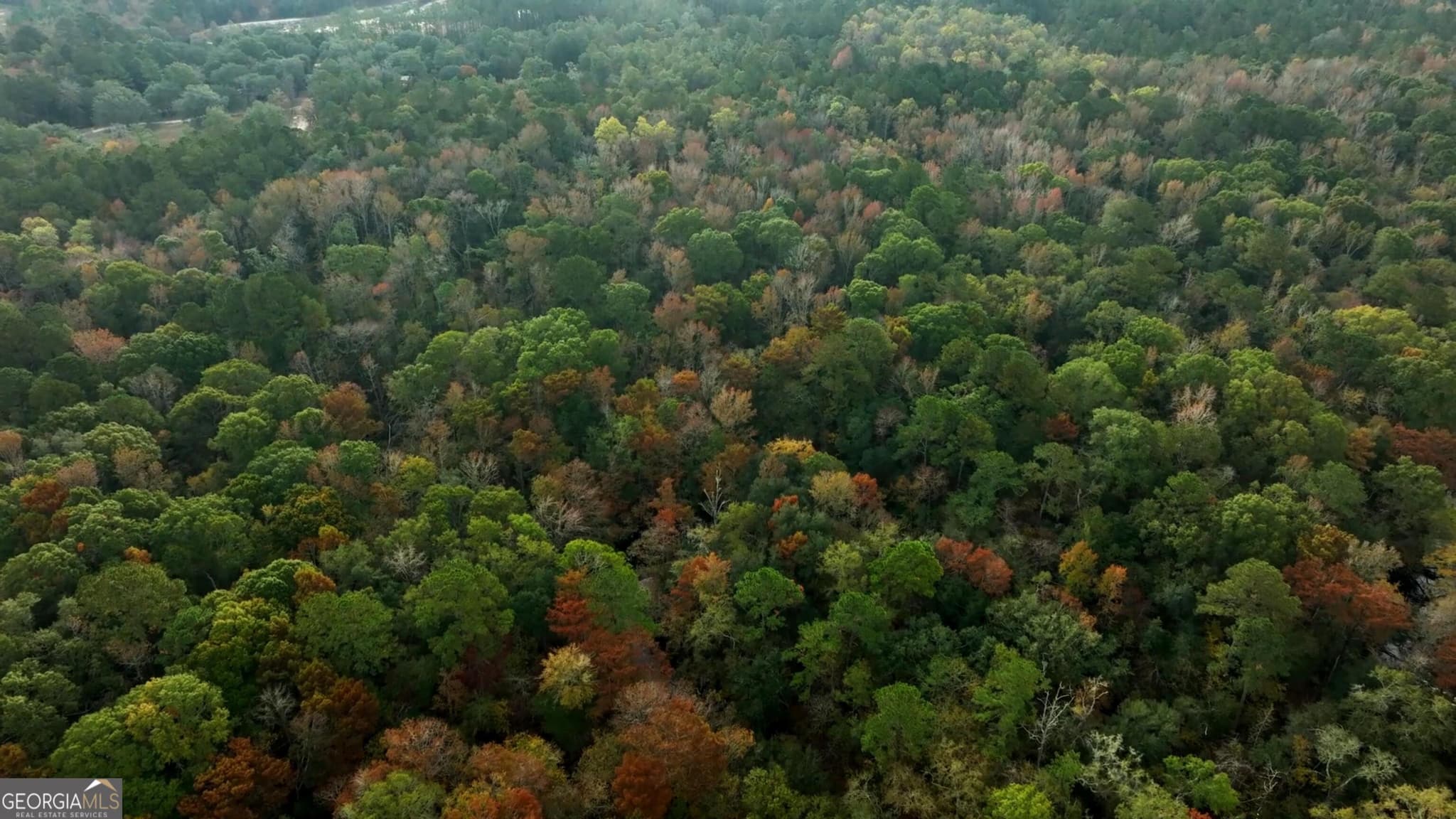 residential lot for sale at 0 Twin Forks Rd/Martin Road TRACT 2, Statesboro, GA 30458 — photo 1 of 9