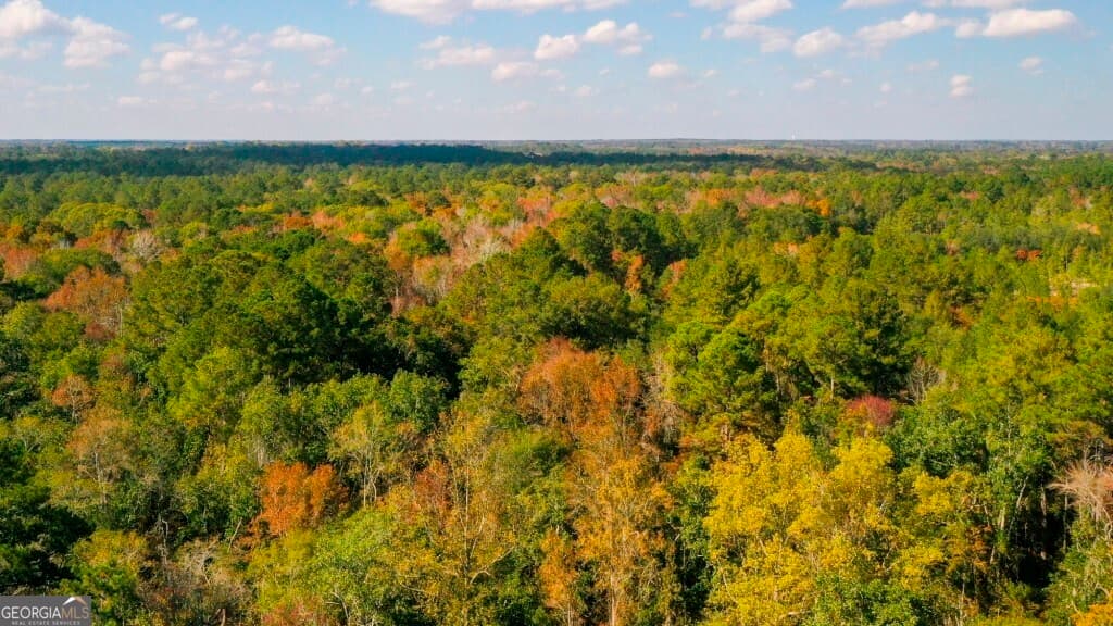 residential lot for sale at 0 Twin Forks Rd/Martin Road TRACT 2, Statesboro, GA 30458 — photo 5