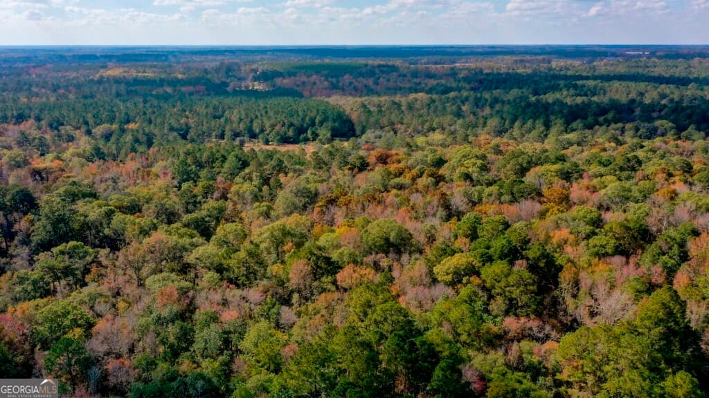 residential lot for sale at 0 Twin Forks Rd/Martin Road TRACT 2, Statesboro, GA 30458 — photo 9