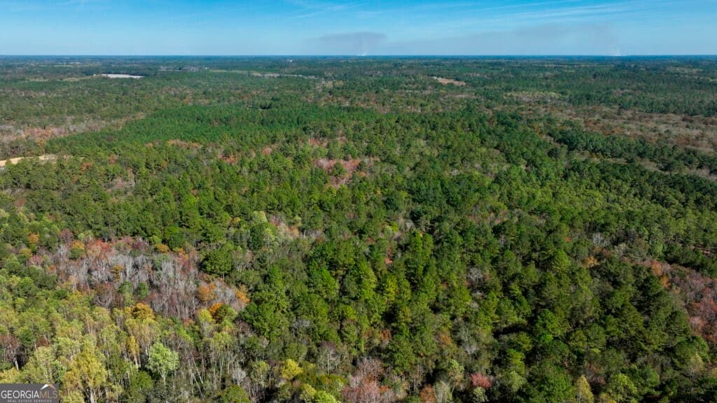 residential lot for sale at 0 Twin Forks Rd/Martin Road TRACT 2, Statesboro, GA 30458 — photo 4