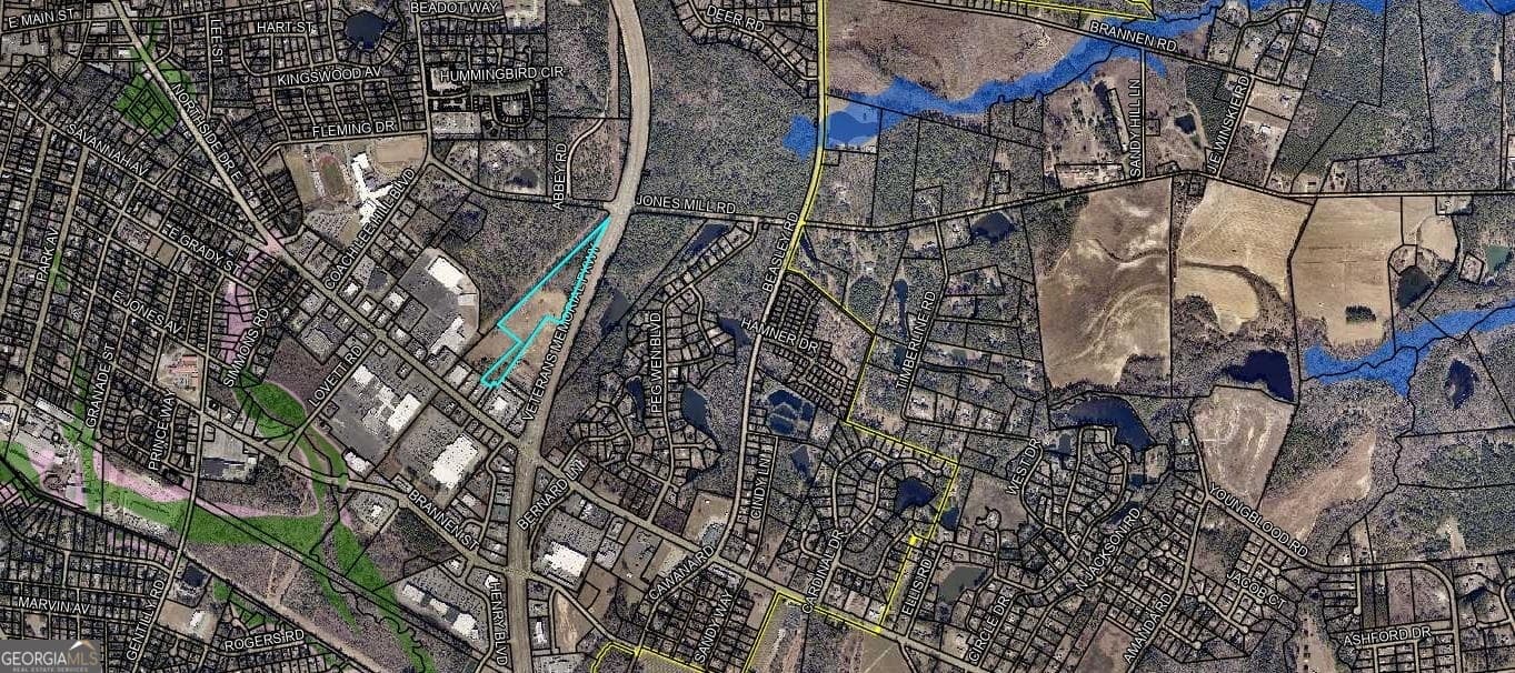 unimproved land for sale at 0 Northside Drive, Statesboro, GA 30458 — photo 6
