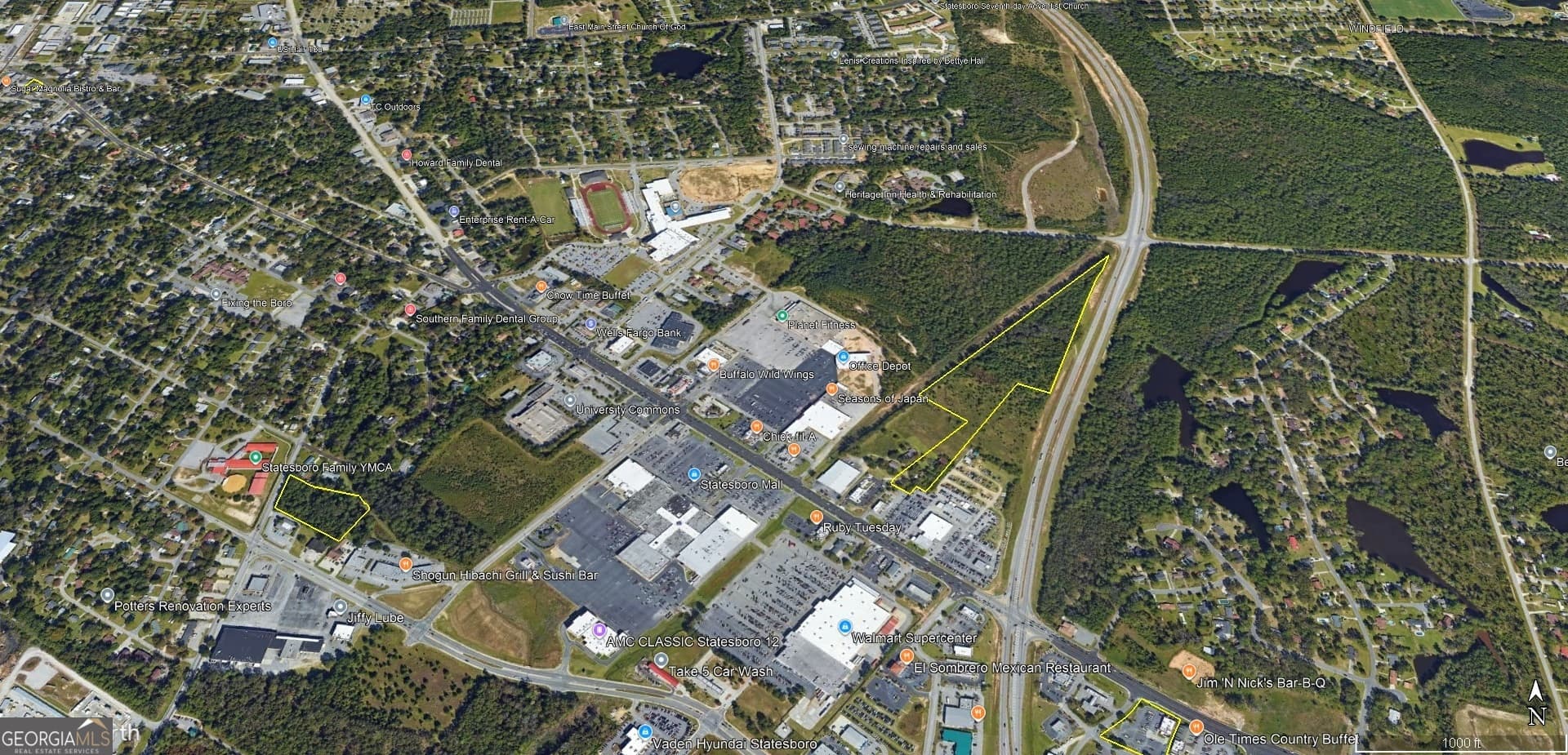 unimproved land for sale at 0 Northside Drive, Statesboro, GA 30458 — photo 3