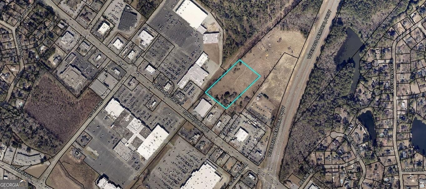unimproved land for sale at 0 Northside Drive, Statesboro, GA 30458 — photo 5