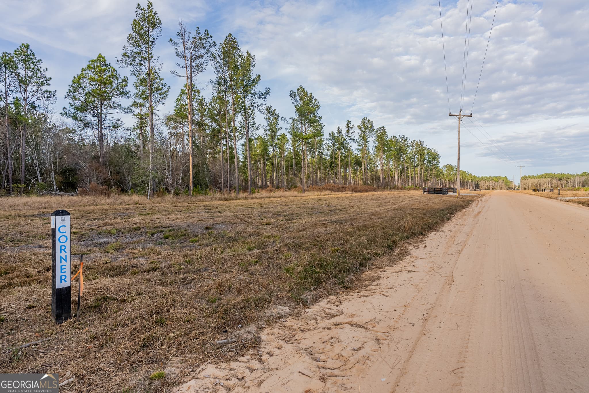 agriculture for sale at LOT 2 Arcola Road, Brooklet, GA 30415 — photo 2