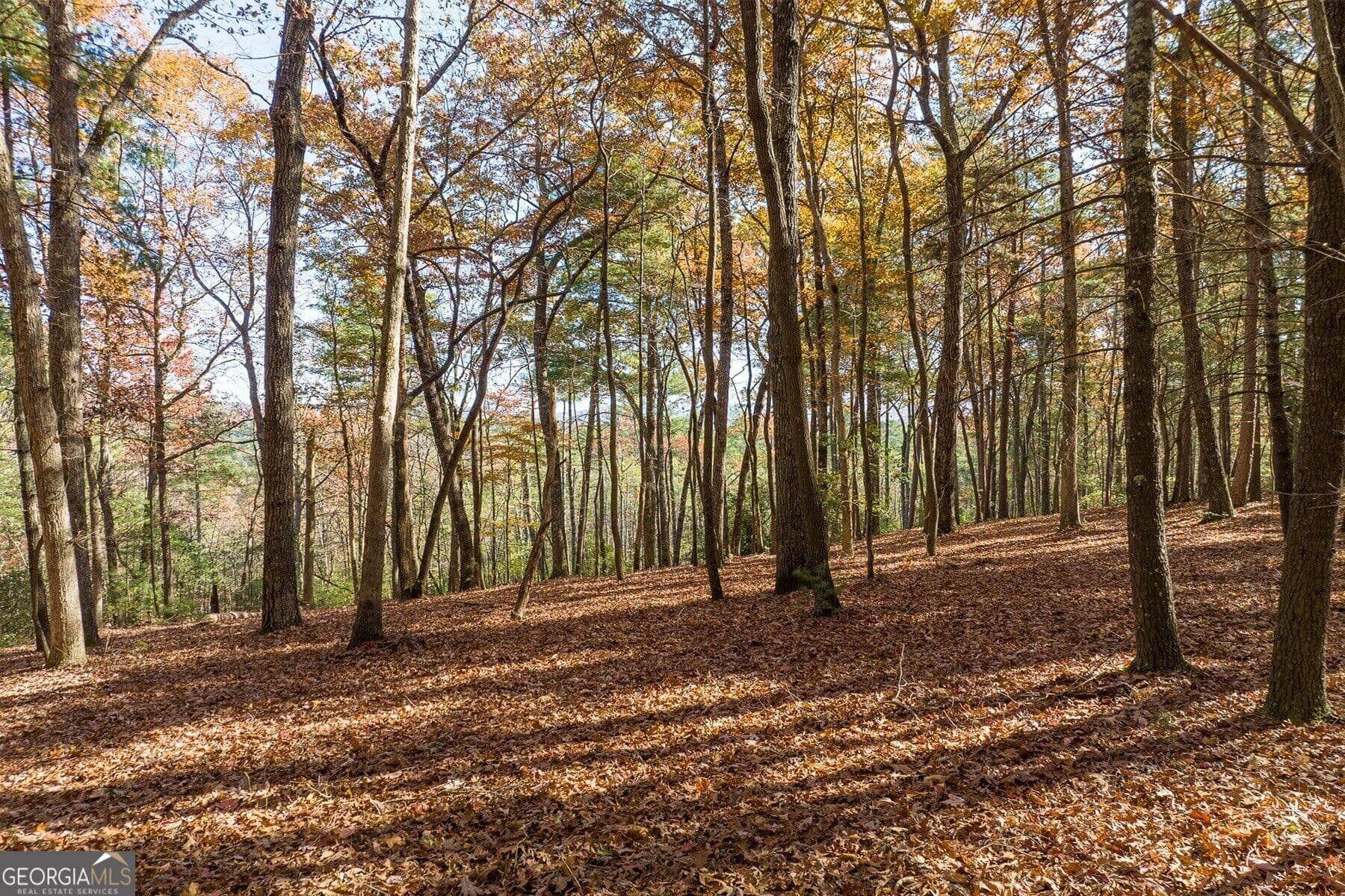 unimproved land for sale at TR 2 Old Anderson Creek, Ellijay, GA 30536 — photo 7
