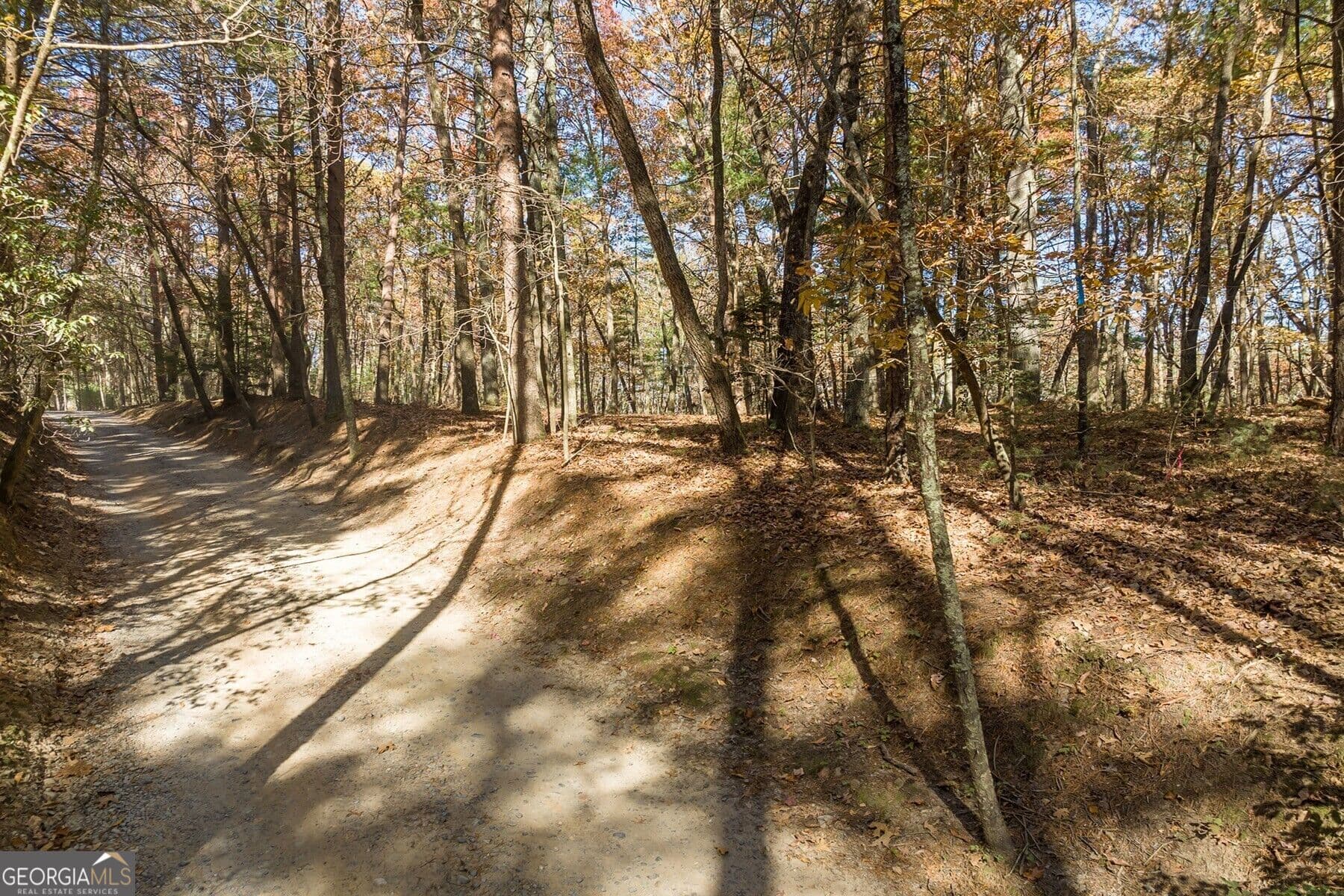 unimproved land for sale at TR 2 Old Anderson Creek, Ellijay, GA 30536 — photo 3