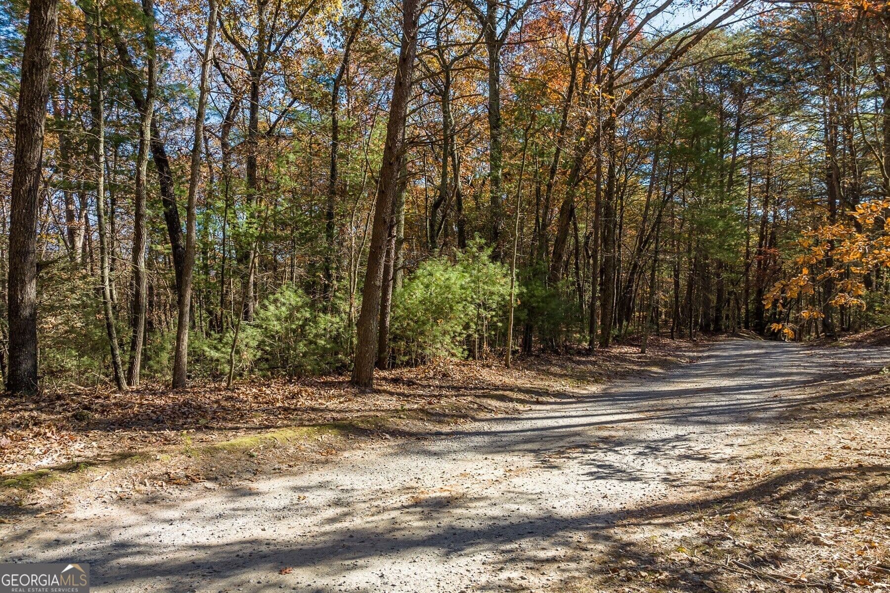 unimproved land for sale at TR 2 Old Anderson Creek, Ellijay, GA 30536 — photo 1 of 24