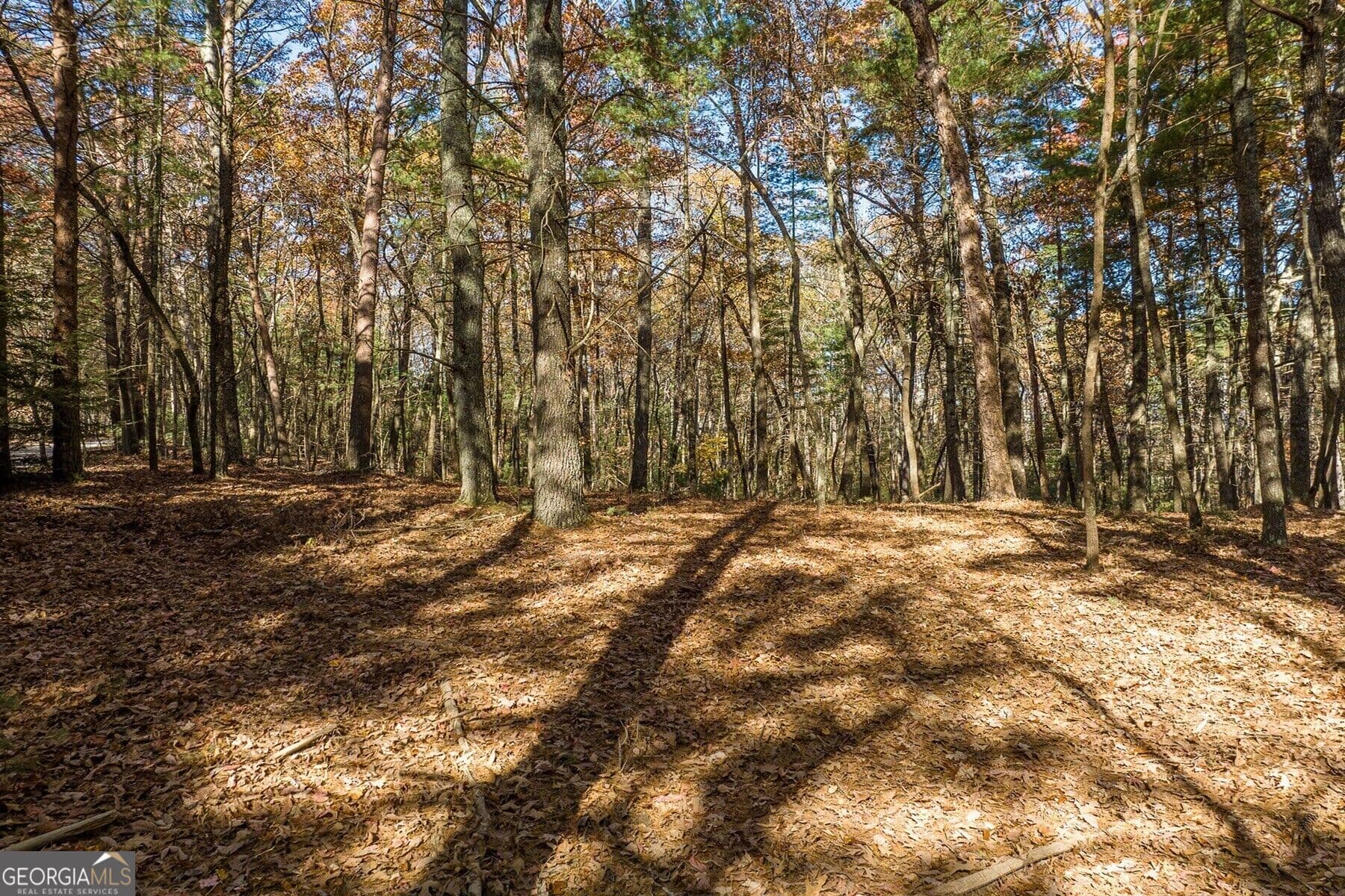 unimproved land for sale at TR 2 Old Anderson Creek, Ellijay, GA 30536 — photo 5