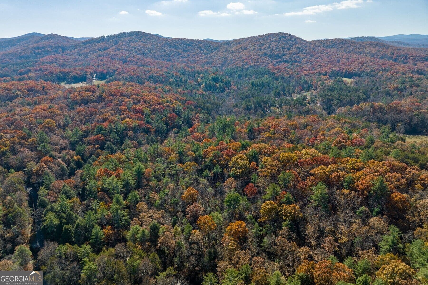 unimproved land for sale at TR 2 Old Anderson Creek, Ellijay, GA 30536 — photo 9