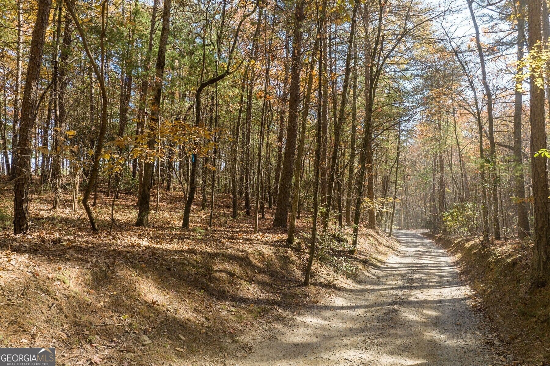 unimproved land for sale at TR 2 Old Anderson Creek, Ellijay, GA 30536 — photo 4