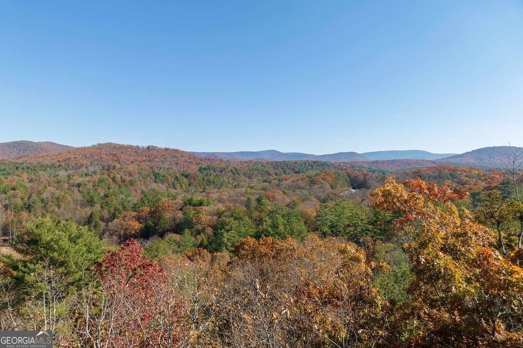 unimproved land for sale at TR 2 Old Anderson Creek, Ellijay, GA 30536 — photo 8