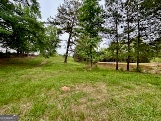agriculture for sale at 0 Bethany Road, Madison, GA 30650 — photo 6