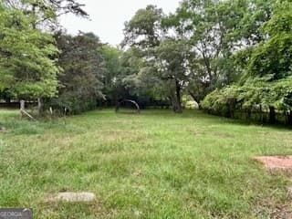 agriculture for sale at 0 Bethany Road, Madison, GA 30650 — photo 5