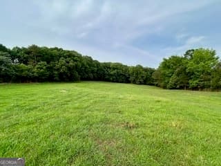 agriculture for sale at 0 Bethany Road, Madison, GA 30650 — photo 9