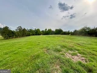 agriculture for sale at 0 Bethany Road, Madison, GA 30650 — photo 10