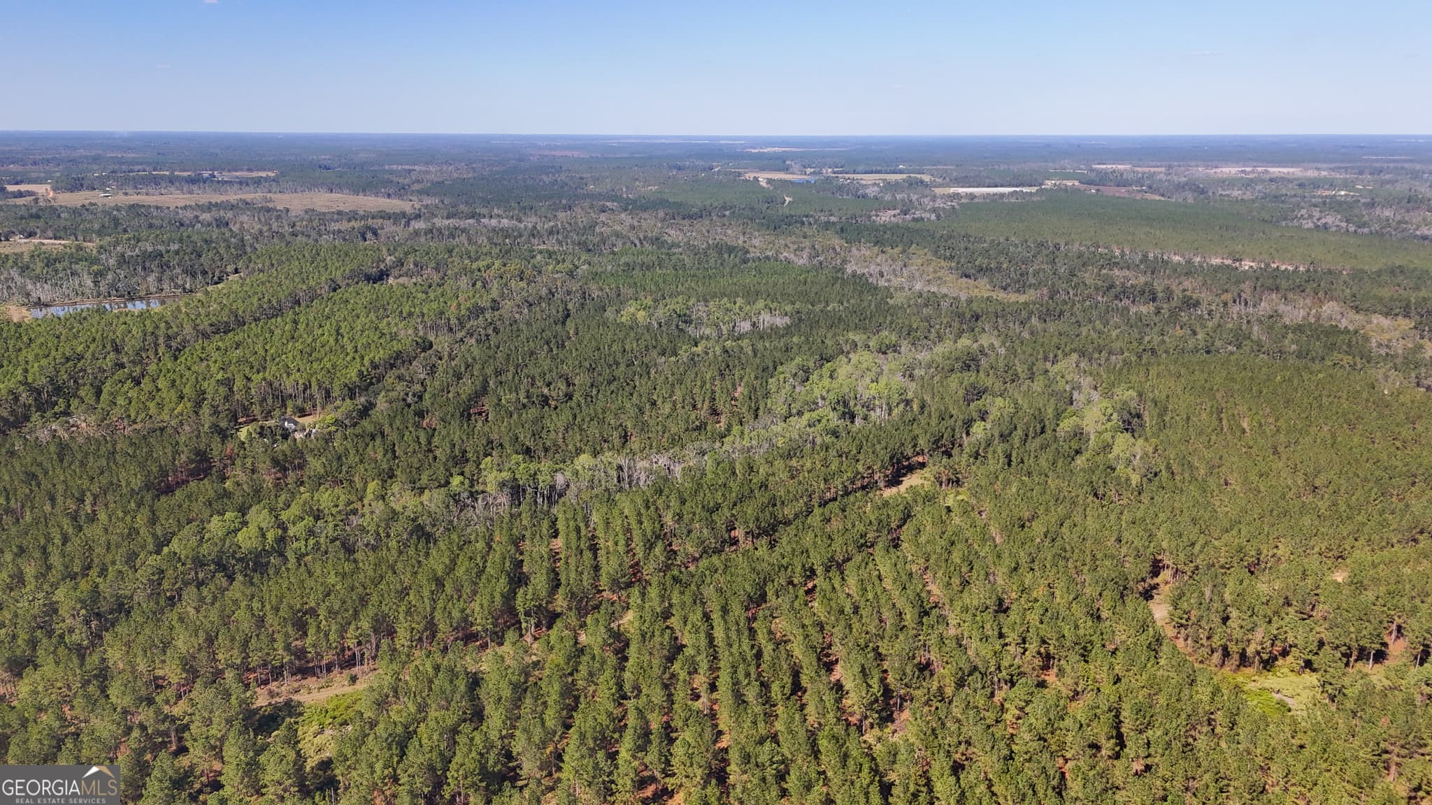 unimproved land for sale at 0 4th Street Extension, Alma, GA 31510 — photo 6