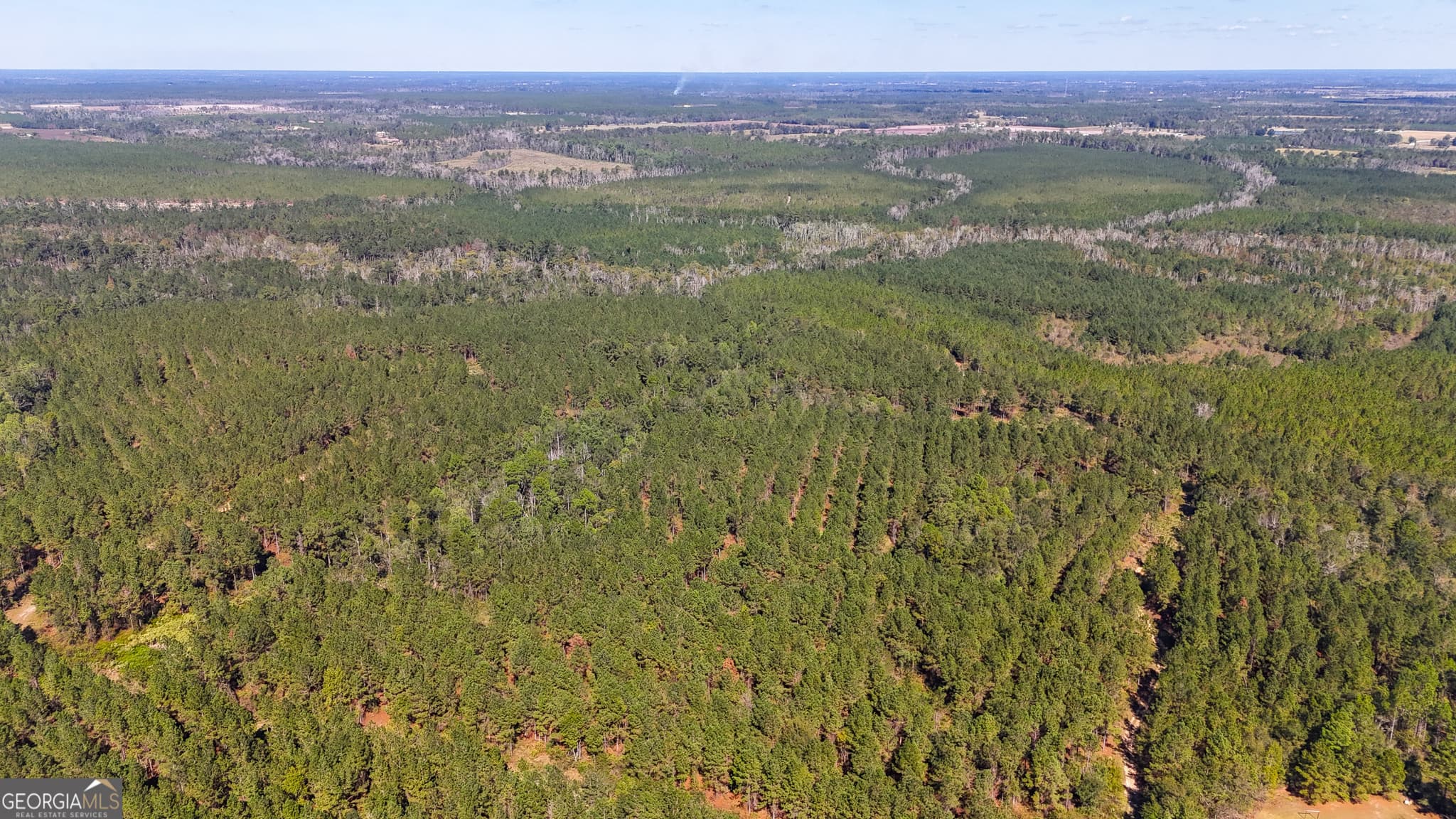 unimproved land for sale at 0 4th Street Extension, Alma, GA 31510 — photo 7