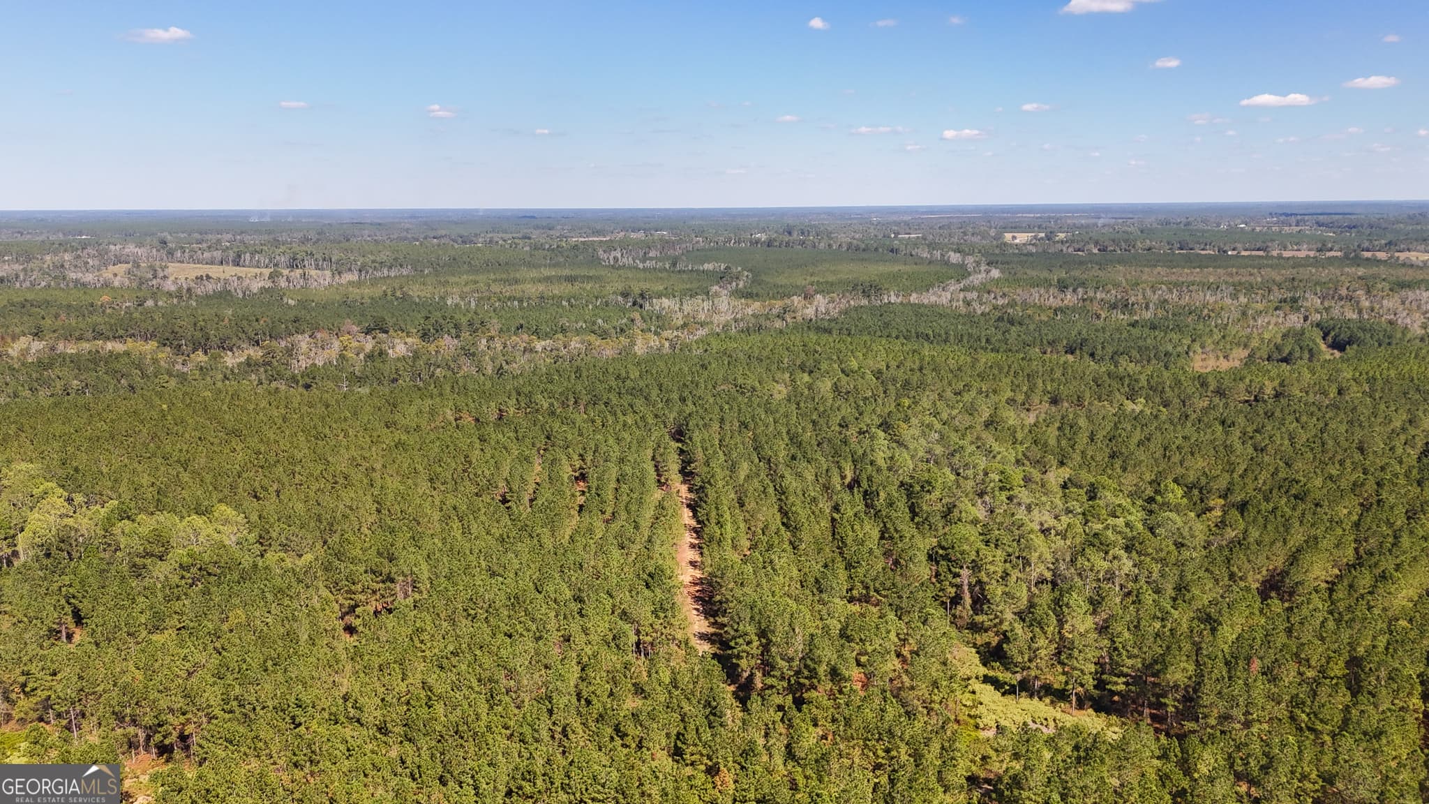 unimproved land for sale at 0 4th Street Extension, Alma, GA 31510 — photo 5