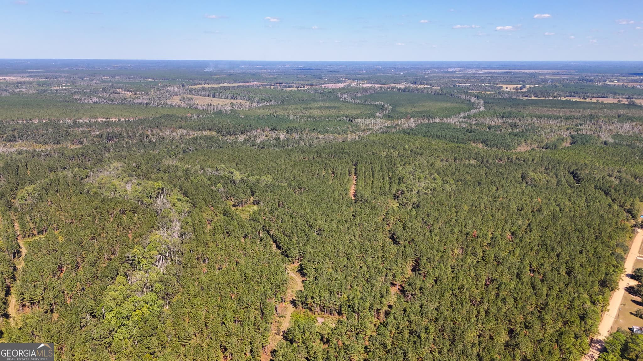 unimproved land for sale at 0 4th Street Extension, Alma, GA 31510 — photo 4