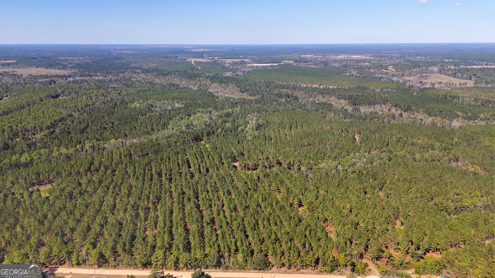 unimproved land for sale at 0 4th Street Extension, Alma, GA 31510 — photo 8