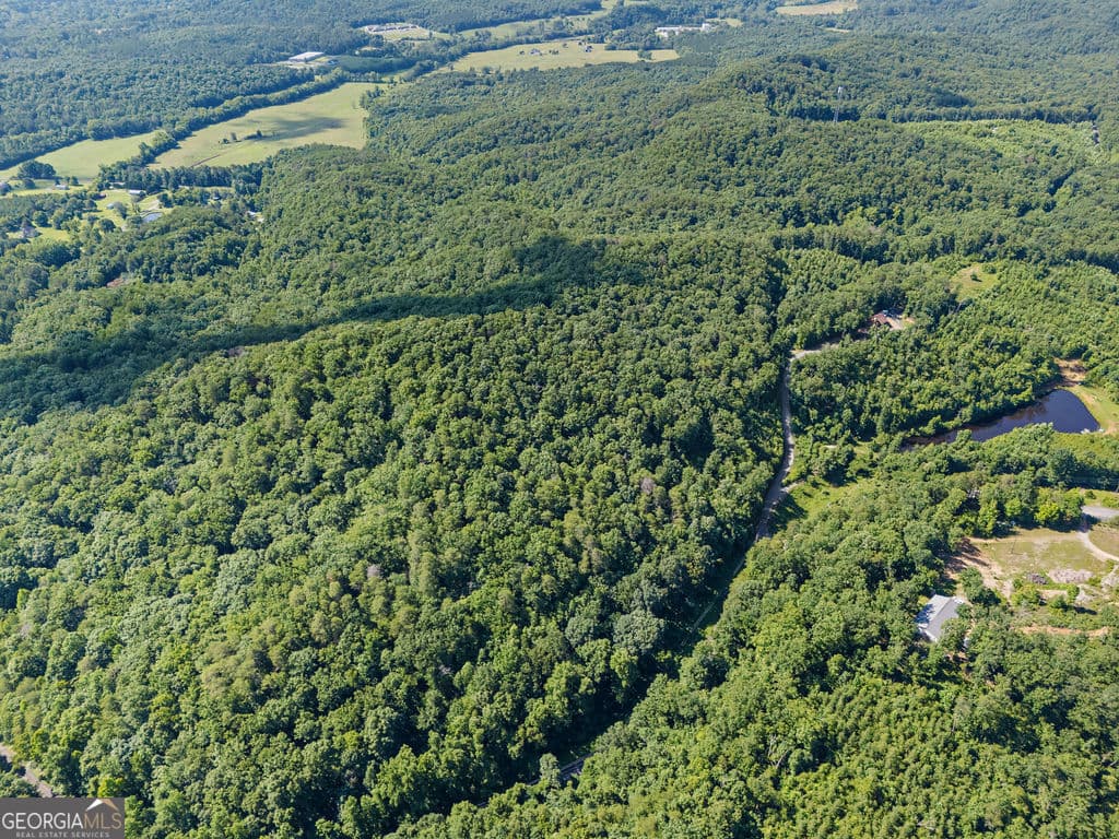 unimproved land for sale at 0 Shinbone Ridge Road, Lafayette, GA 30728 — photo 6