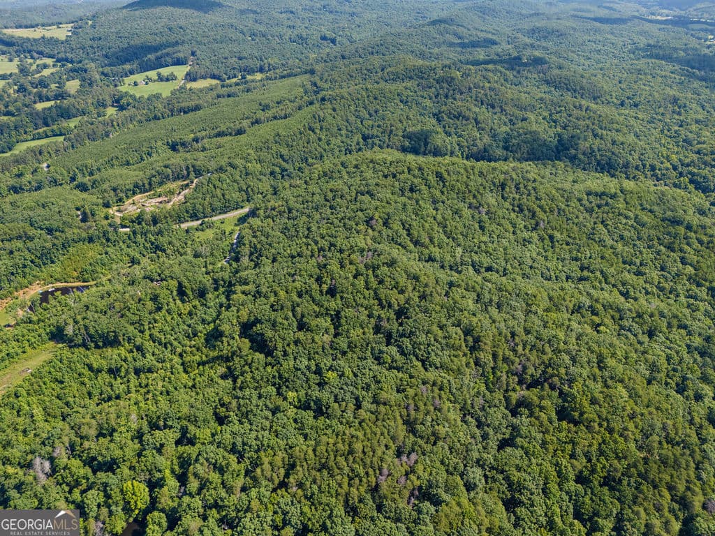 unimproved land for sale at 0 Shinbone Ridge Road, Lafayette, GA 30728 — photo 7