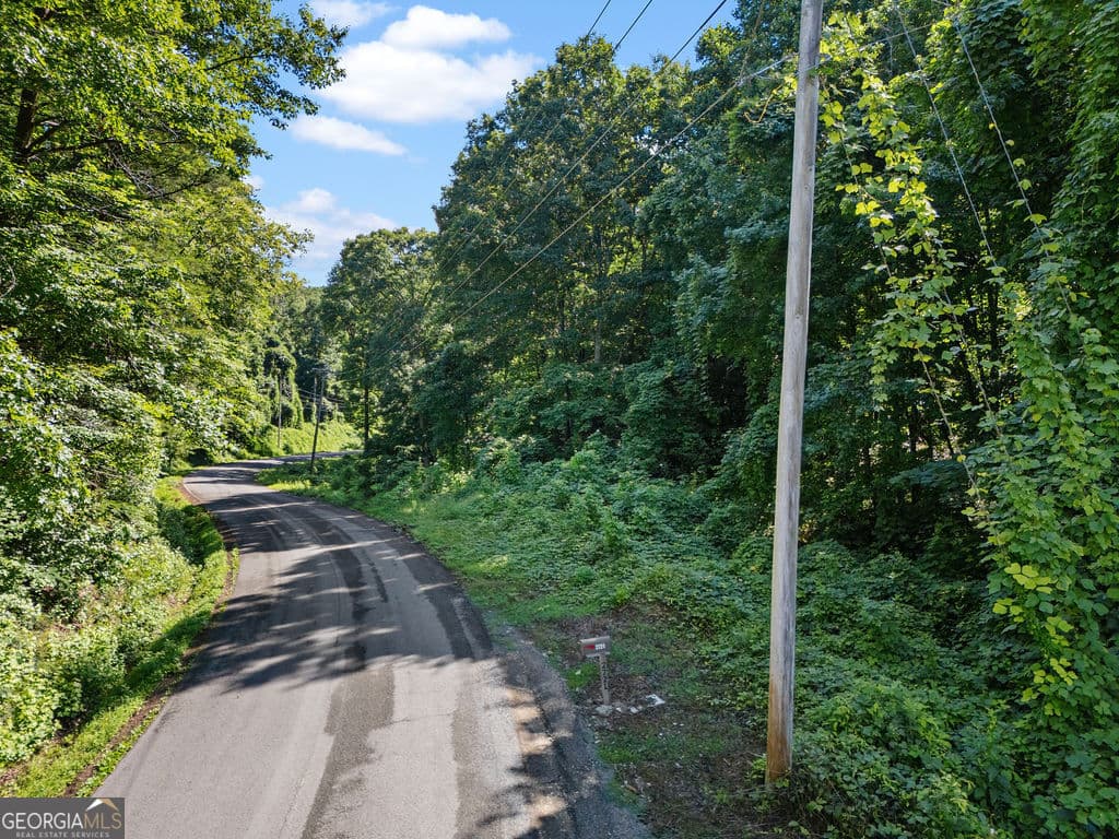 unimproved land for sale at 0 Shinbone Ridge Road, Lafayette, GA 30728 — photo 3