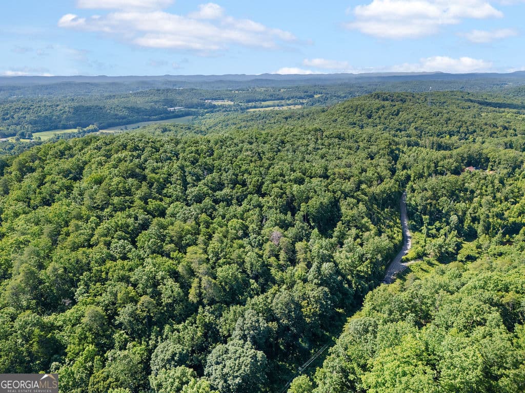 unimproved land for sale at 0 Shinbone Ridge Road, Lafayette, GA 30728 — photo 5