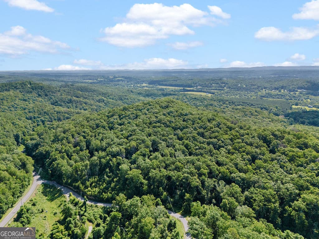 unimproved land for sale at 0 Shinbone Ridge Road, Lafayette, GA 30728 — photo 9