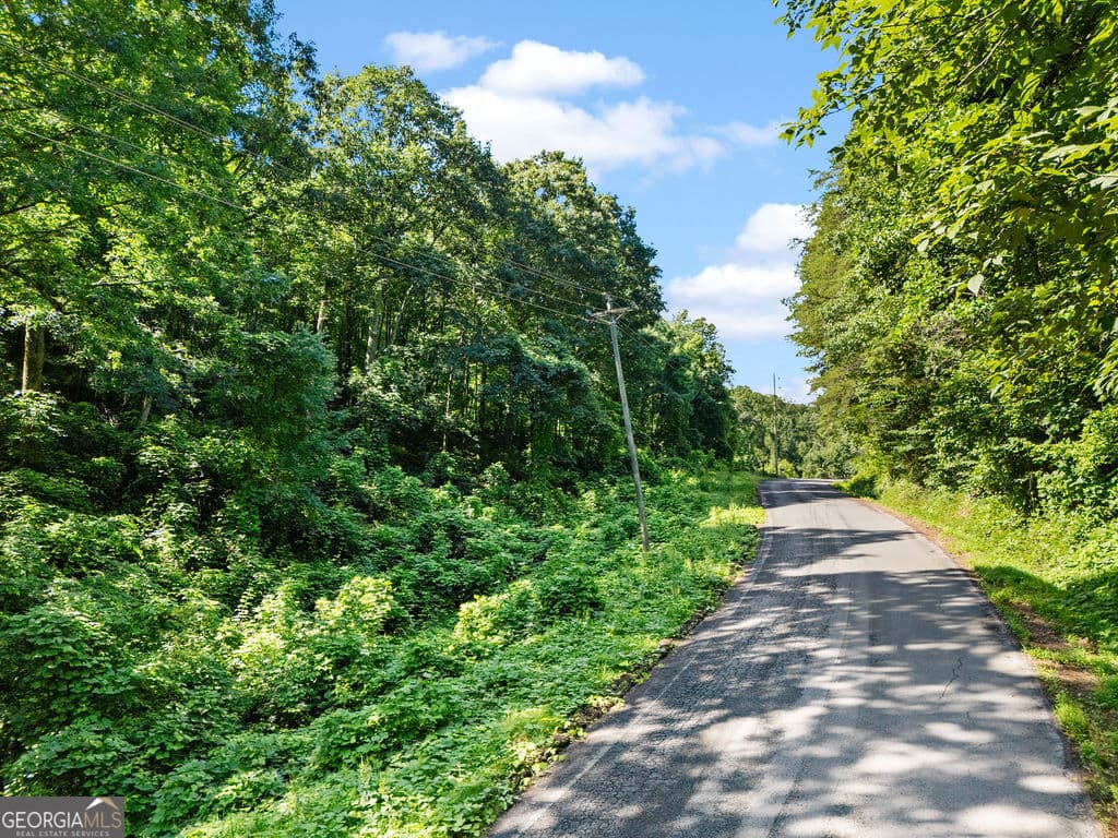 unimproved land for sale at 0 Shinbone Ridge Road, Lafayette, GA 30728 — photo 4