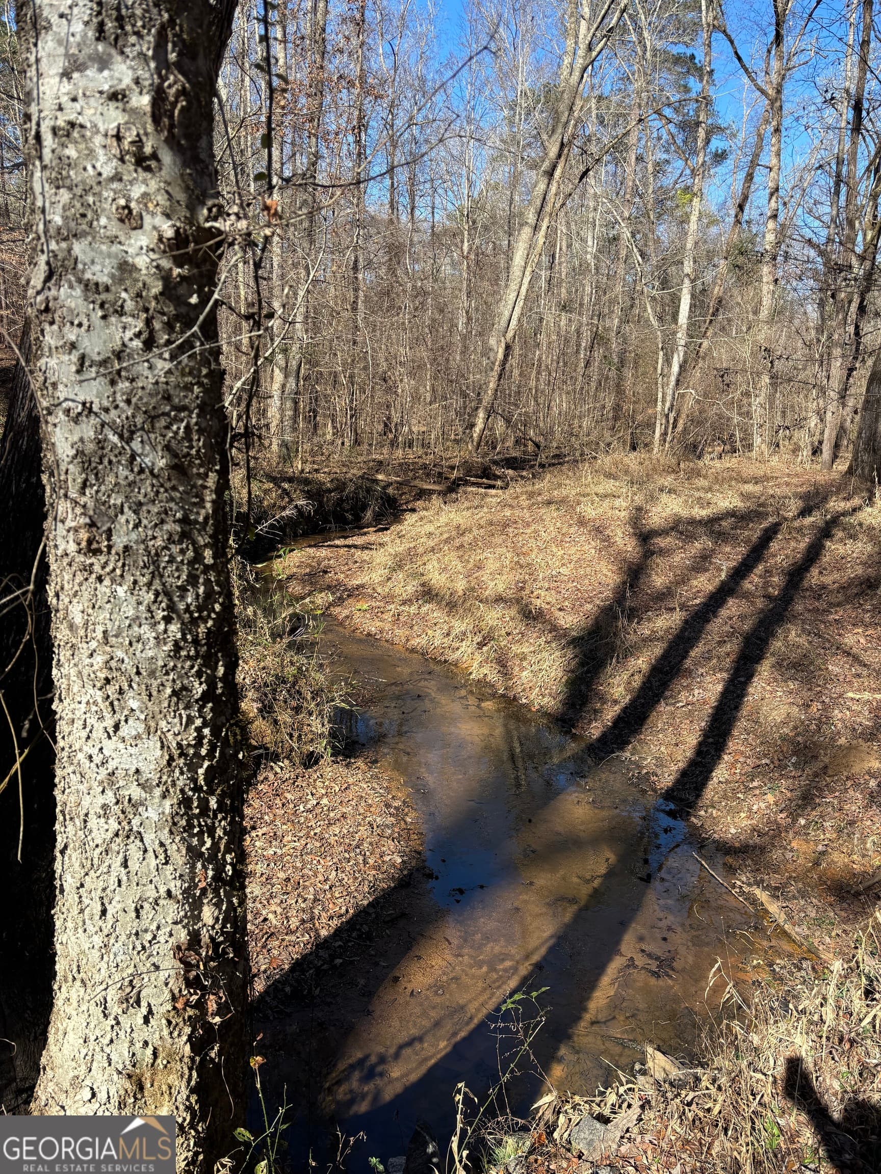agriculture for sale at 0 Carl Mathis Road, Talbotton, GA 31827 — photo 2